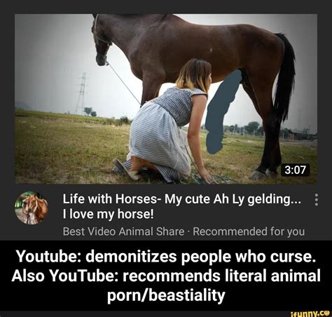 horse beastiality|Explore the Best Horse Sex Clips and Zoo XXX Vids